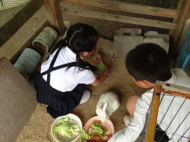 日本为了孩子的教育，还有什么事儿干不出来……！